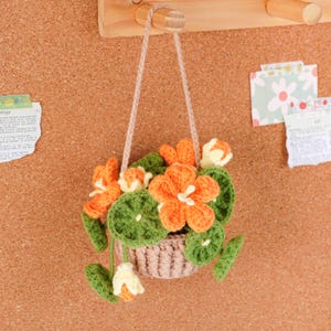 Blooming Baskets Crochet Patterns Bundle, Nasturtium Basket Pattern, Morning Glory Basket Pattern, Petunia Basket Pattern, PDF Pattern image 4