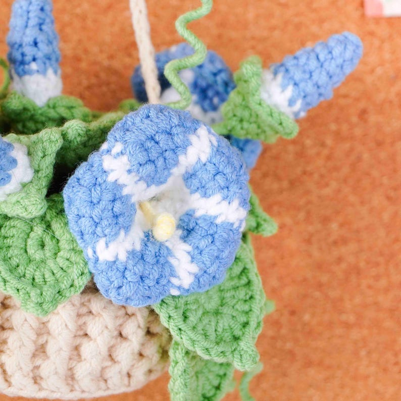 Blooming Baskets Crochet Patterns Bundle, Nasturtium Basket Pattern, Morning Glory Basket Pattern, Petunia Basket Pattern, PDF Pattern image 8