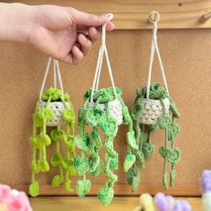 May include: Three crocheted hanging planters with green leaves and white pots. The planters are hanging from hooks on a cork board.