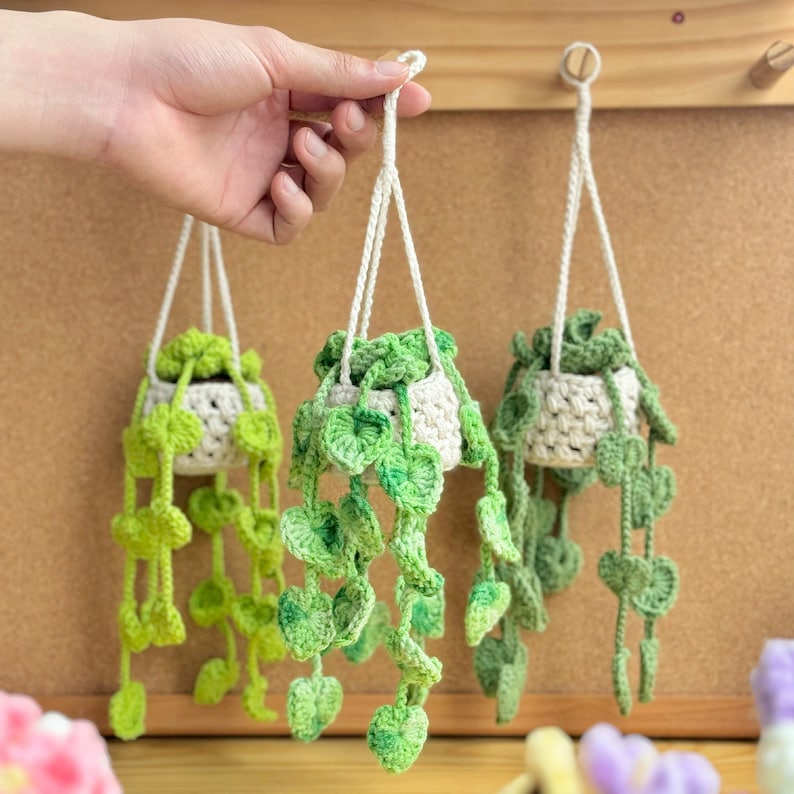May include: Three crocheted hanging planters with green leaves and white pots. The planters are hanging from hooks on a cork board.