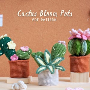 Cactus Bloom Pots Crochet Patterns Bundle | Petal And Prickles Pot Pattern, Cactus Sweetie Pot Pattern, Blossom Cactus Pot Pattern