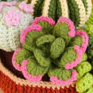 May include: A collection of crocheted succulents in a brown pot. The arrangement features a central green rosette with pink-tipped leaves, a pale green cactus with pink flowers, and a striped green and yellow cactus, all crafted from yarn.
