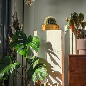 Plaster Plinth