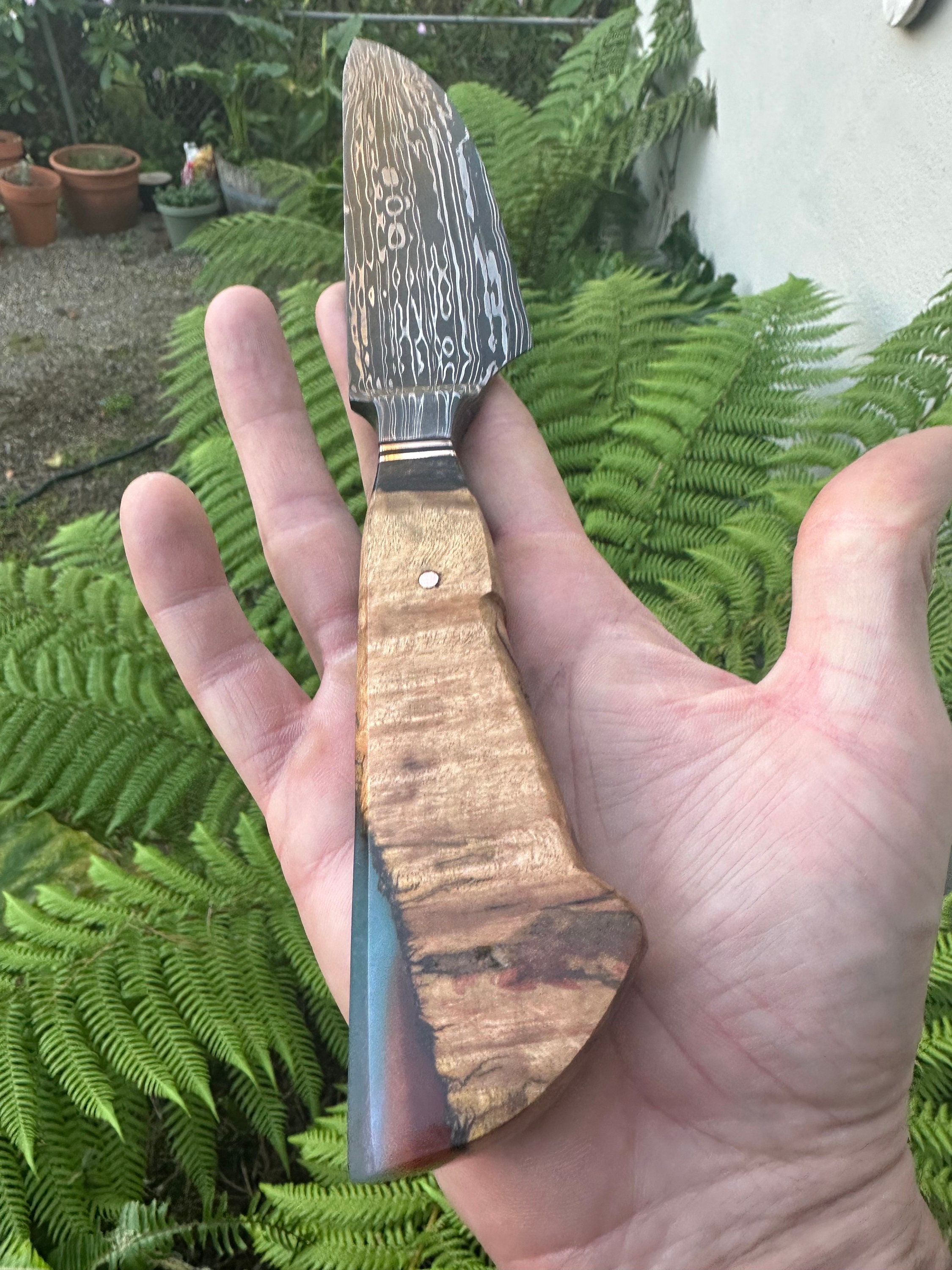 Damascus Serving/brisket Knife Etsy