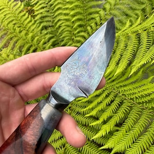 Hand forged pocket knife 3-1/2”