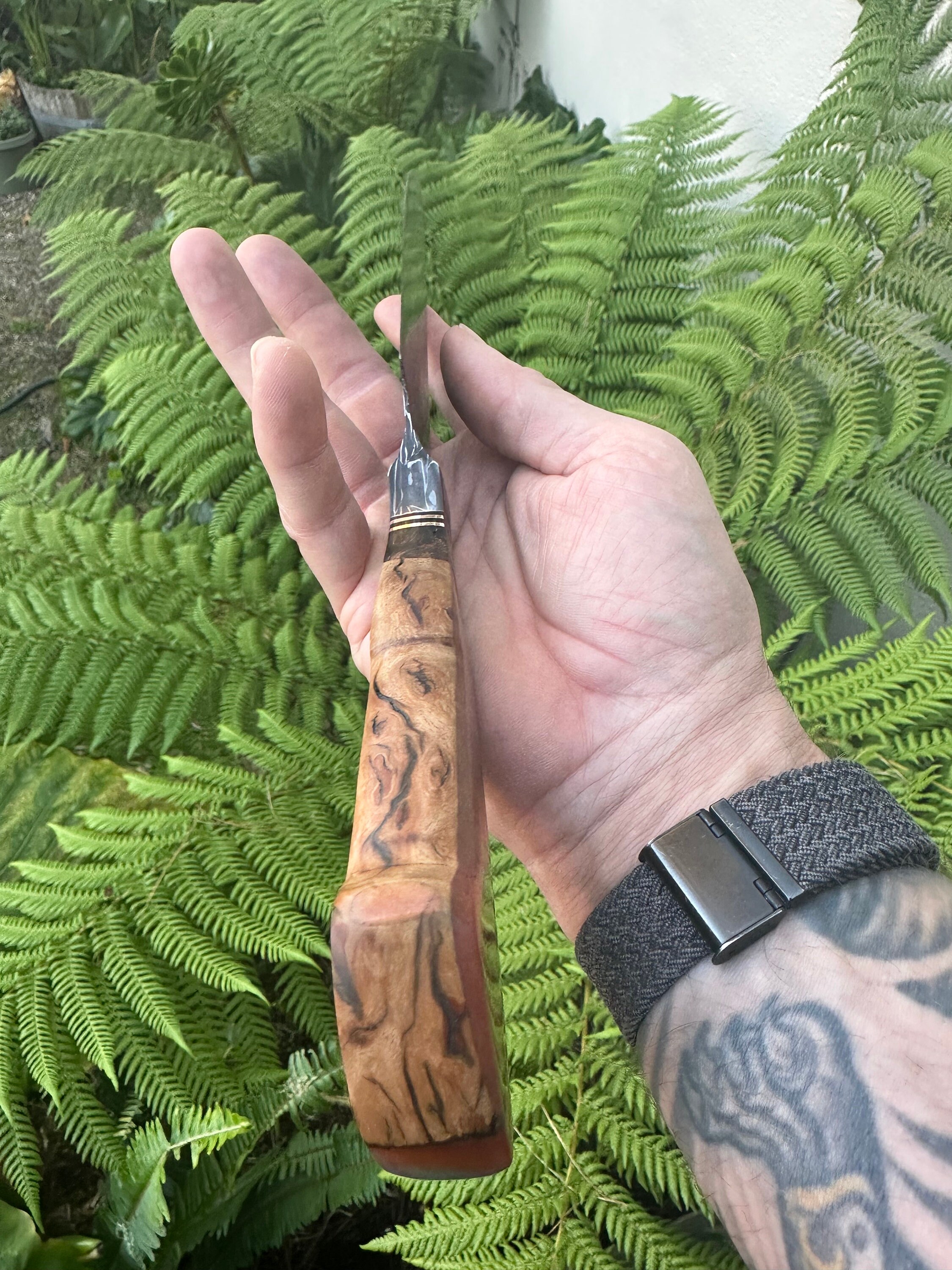 Damascus Serving/brisket Knife Etsy