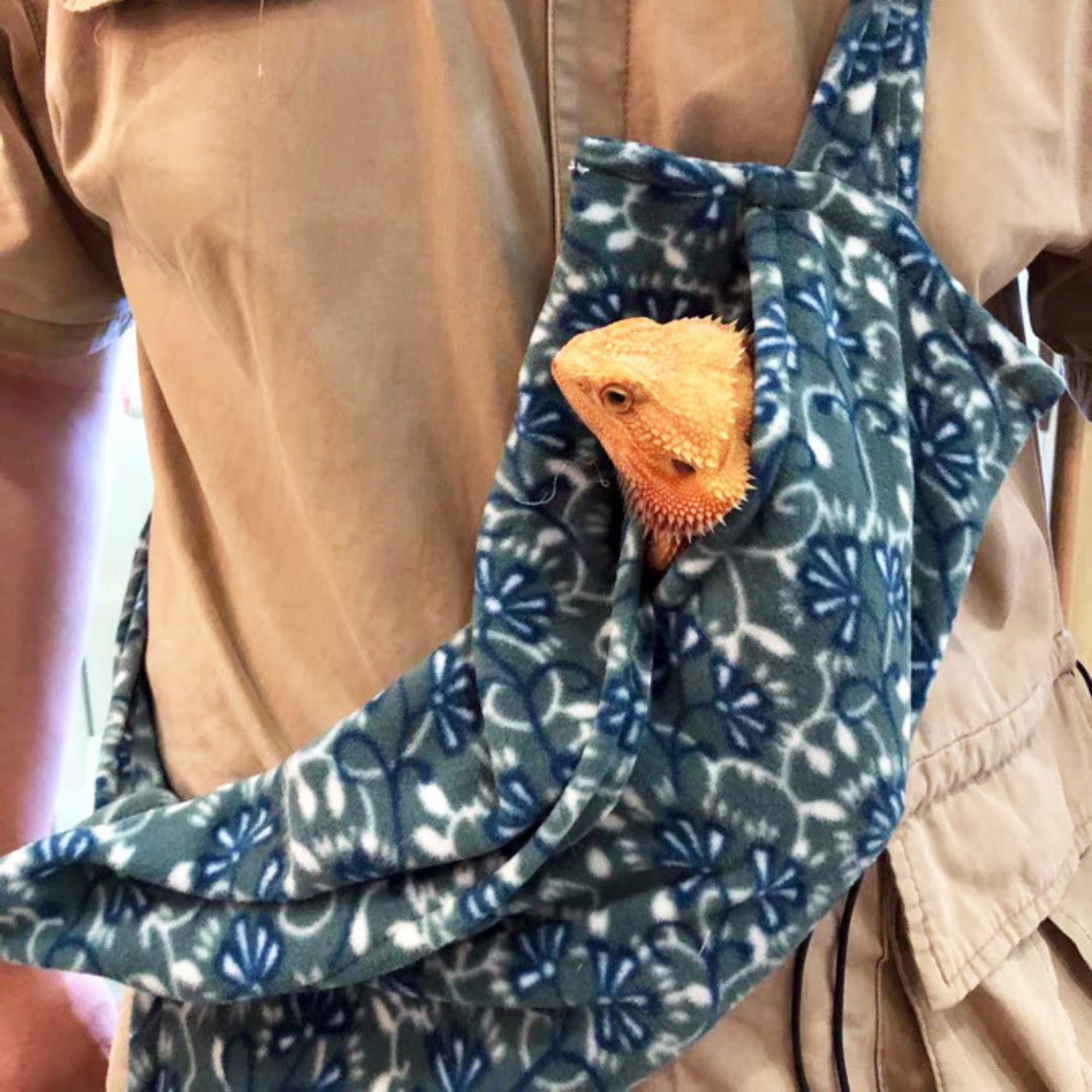 Bearded Dragon Carrier/ Carrier Out for Small Animals /bearded Etsy UK