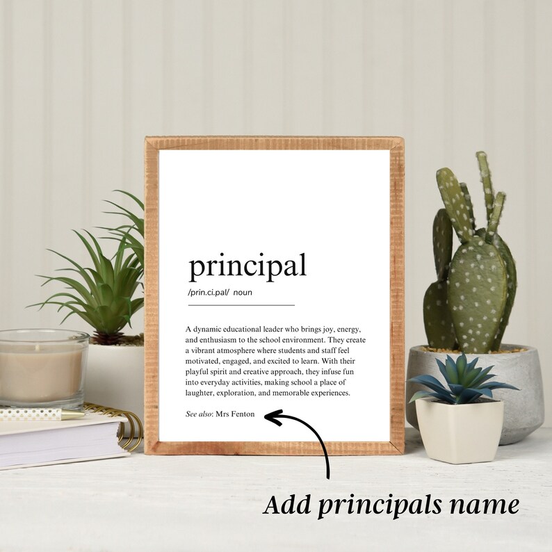 PRINCIPAL DEFINITION EXAMPLE visual data 8