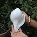 Conch Shell Authentic White Natural- Purity and Serenity for Spiritual ...