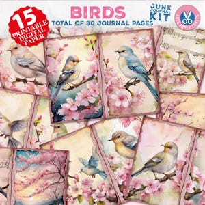Birds Junk Journal Pages, vogel efemere verschijnselen, plakboek afdrukbaar, afdrukbaar papier, digitale collage, kersenbloesem, vintage vogels, roze pagina's