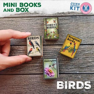 Caixa de mini livros, livro, livro de pássaros em miniatura, ilustração de pássaros, surrado, armazenamento, diário de lixo, para impressão, presente, caixa de download digital