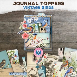 Vintage Birds Junk Journal, Tab Folder, Folio, Ephemera, Words, Fussy Cuts, Pocket Tags, Digital Download, Printable, Ticket, Flowers