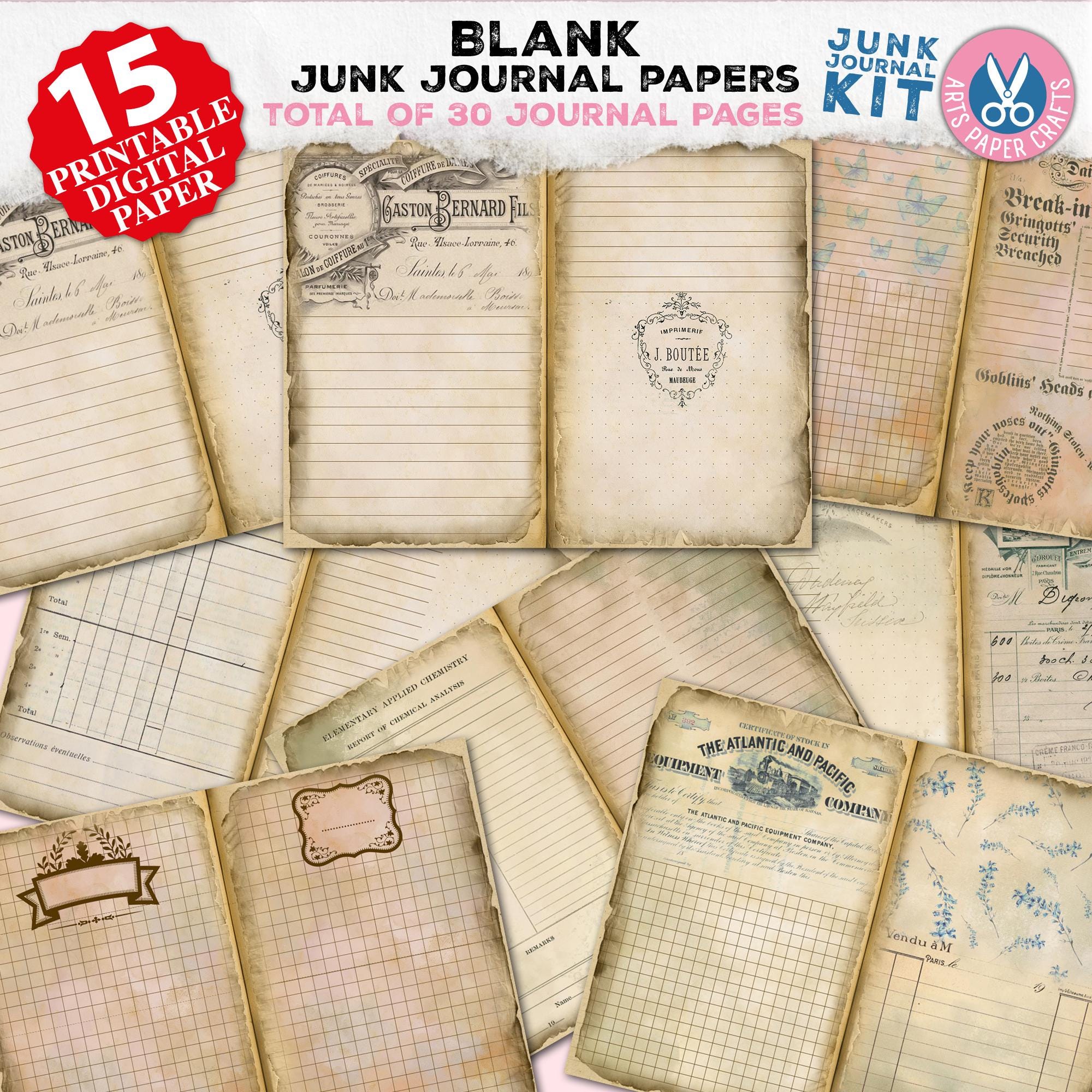 ビンテージジャーナル❁⃘*.゜❁⃘*.゜雑記帳 Gravity Falls Blank Digital Journal A4 - 100 Pages (book 1,2