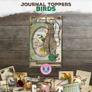 Diario basura, adornos para diario, pájaros vintage, carpeta con pestañas, folio, sello, boleto, tarjetas, etiquetas para ventana, descarga digital, imprimible