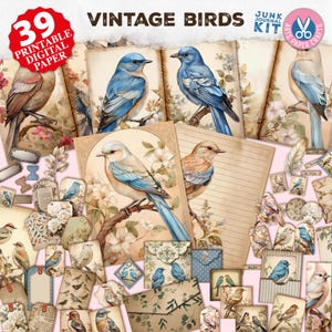 Kit de journal oiseaux, imprimables sur le thème des oiseaux - paquet de journal indésirable - journal de scrapbooking - kit de journal éphémère - étiquettes de kit d'artisanat - oiseaux vintage