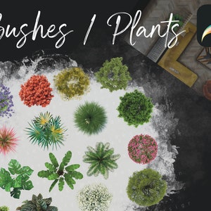 Procreate Plants Bushes Cutouts  Sketch Blocks Elements