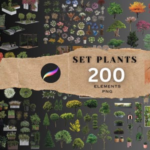 Könnte beinhalten: Ein Set mit 200 PNG-Bildern, die verschiedene Pflanzen und Grünpflanzen zeigen, perfekt, um Ihren Designs einen Hauch von Natur zu verleihen. Die Bilder umfassen eine Vielzahl von Bäumen, Sträuchern, Blumen und Farnen, alle in verschiedenen Größen und Stilen.