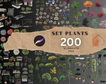 Procreate Set Pflanzen Blumen Bäume Natur Bundle Ausschnitte PNG Elemente Skizzenblöcke