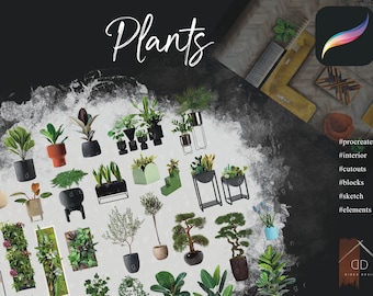 Procreate Plants Flowers Frontal View Cutouts Interior Home Sketch Blocks Elements