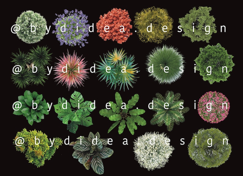 Procreate Plants Bushes Cutouts Sketch Blocks Elements - Etsy