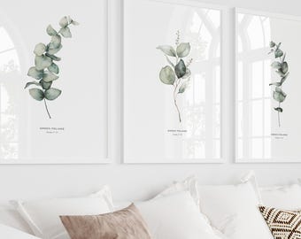 Set of 3 Eucalyptus and Sage Minimalist Watercolor Wall Art Prints| Living Room Greenery Home Decor|Printable Herbs Botanical Poster Set|35
