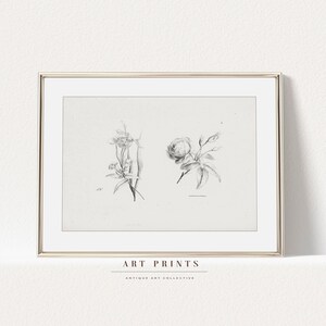 Vintage Botanical Sketch Print | Antique Roses Flower Drawing Prints | Flower Sketch Art PRINTABLE | Vintage Wall Art | 271
