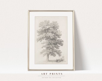 Vintage Botanical Sketch Print | Antique Flower Drawing Prints | Flower Sketch Art PRINTABLE | Vintage Botanical Wall Art | 251