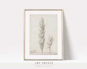 Vintage Botanical Sketch Print | Antique Flower Drawing Prints | Flower Sketch Art PRINTABLE | Vintage Botanical Wall Art | 252