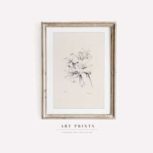 Vintage Botanical Sketch Art Print | Antique Roses Flower Drawing Prints | Flower Sketch Art PRINTABLE | Vintage Wall Art | 262