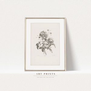 Vintage Botanical Sketch Print | Antique Roses Flower Drawing Prints | Flower Sketch Art PRINTABLE | Vintage Wall Art | 265