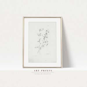 Vintage Botanical Sketch Print | Antique Roses Flower Drawing Prints | Flower Sketch Art PRINTABLE | Vintage Wall Art | 274