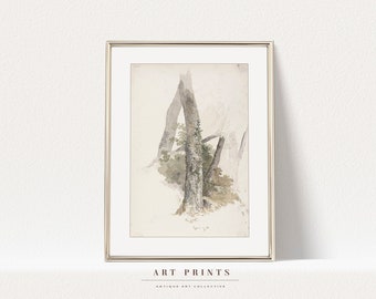 Vintage Botanical Sketch Print | Antique Flower Drawing Prints | Flower Sketch Art PRINTABLE | Vintage Botanical Wall Art | 258