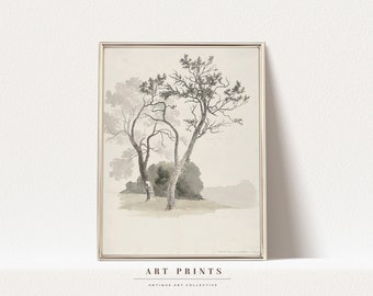 Vintage Botanical Sketch Print | Antique Flower Drawing Prints | Flower Sketch Art PRINTABLE | Vintage Botanical Wall Art | 254