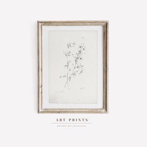 Vintage Botanical Sketch Floreal Print  | Antique Roses Flower Drawing Prints | Flower Sketch Art PRINTABLE | Vintage Wall Art | 274