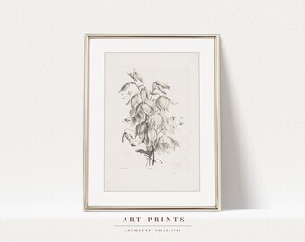 Vintage Botanical Sketch Print | Antique Roses Flower Drawing Prints | Flower Sketch Art PRINTABLE | Vintage Wall Art | 260