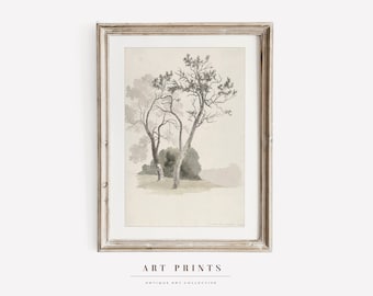 Vintage Botanical Sketch Print | Antique Flower Drawing Prints | Flower Sketch Art PRINTABLE | Vintage Botanical Wall Art | 254