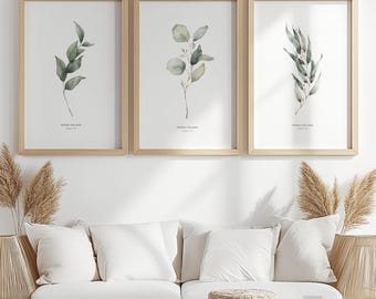 Eucalyptus Watercolor Wall Art Set of 3 | Digital Prints | Botanical Greenery | Minimalist Nature Decor | Instant Download | 37