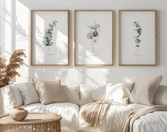 Set of 3 Eucalyptus and Sage Minimalist Watercolor Wall Art Prints| Living Room Greenery Home Decor|Printable Herbs Botanical Poster Set|35