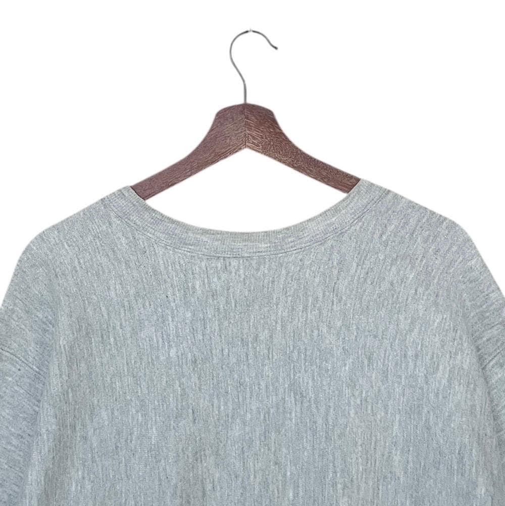 Rare Vintage Champion Reverse Weave Delaware Sweatshirt 1990s