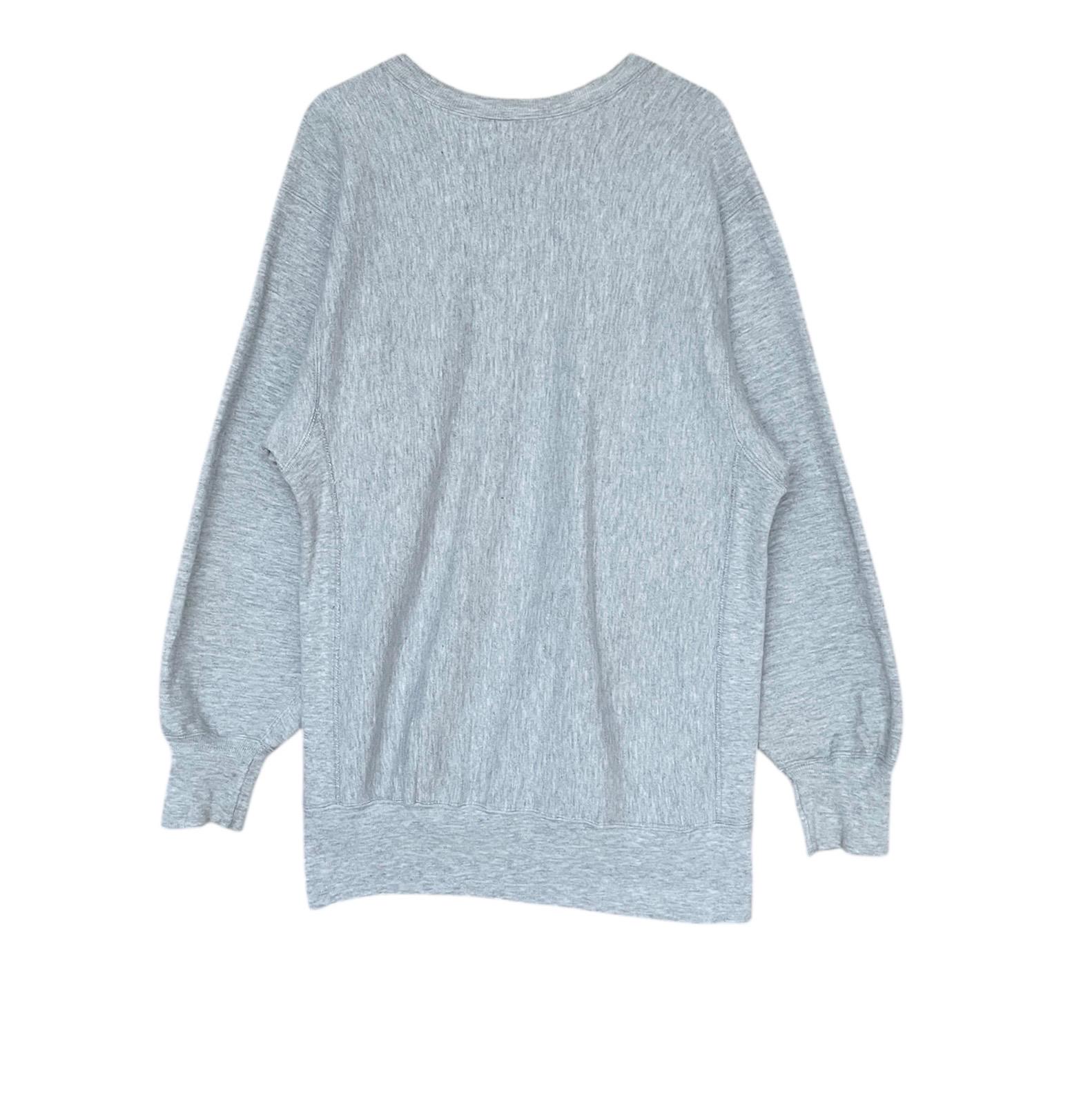 Rare Vintage Champion Reverse Weave Delaware Sweatshirt 1990s