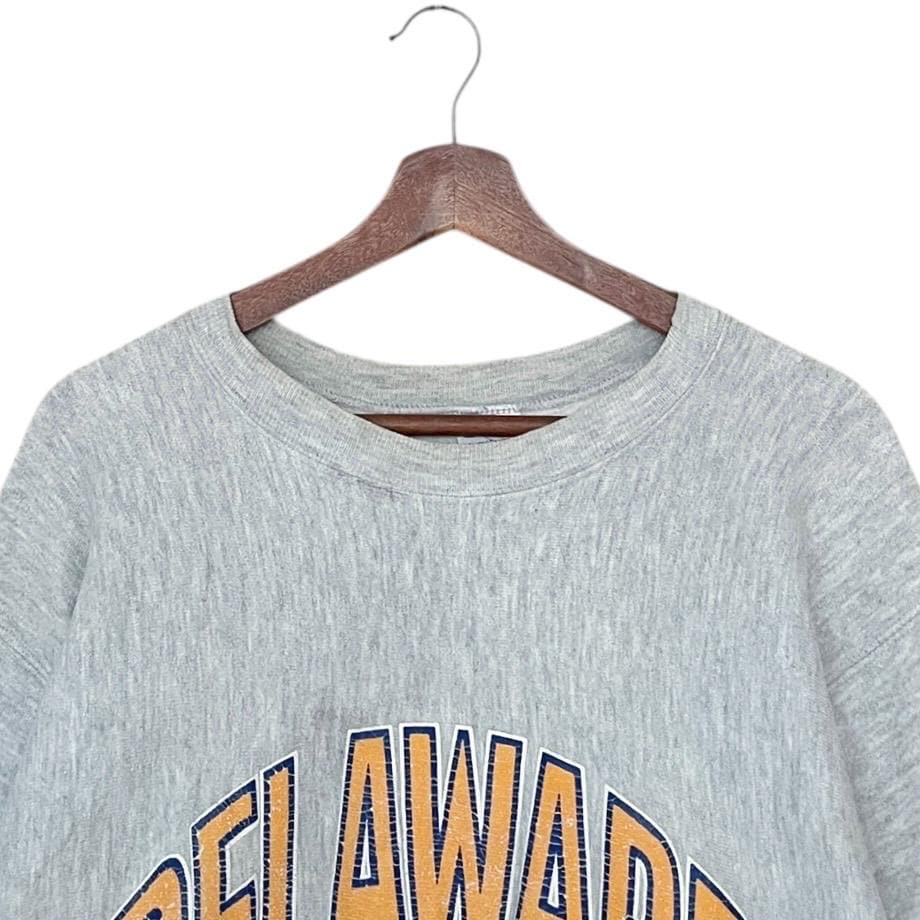 90年代　DELAWARE CHAMPION REVERSE WEAVE Rare Vintage Champion Reverse Weave Delaware Sweatshirt 1990s