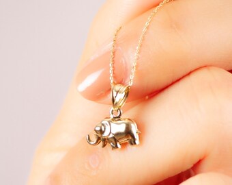 14k massief gouden olifantenketting, geluksbedel, dierenhanger, fortuinketting, kleine olifantenketting, minimalistische alledaagse sieraden