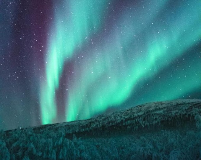 Paint By Numbers | Aurora