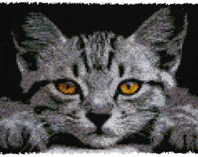 Rug Making Latch Hooking Kit | Cat Watching