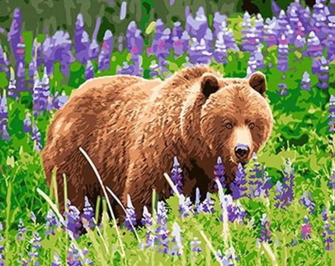Paint By Numbers | Bear