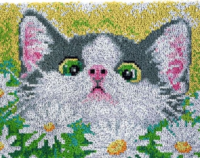 Rug Making Latch Hooking Kit | Cat with Daisy