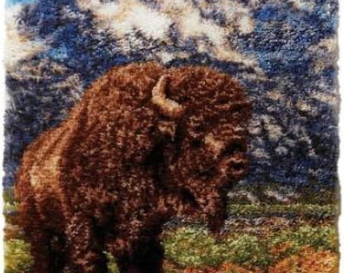 Rug Making Latch Hooking Kit | Buffalo