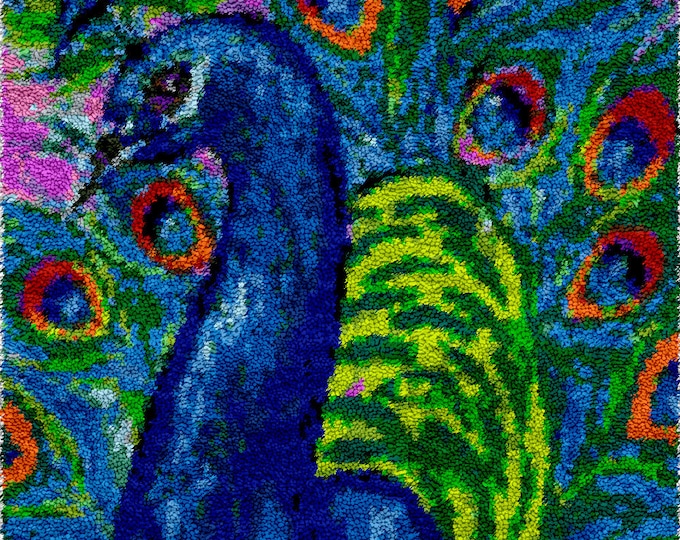 Rug Making Latch Hooking Kit | Peacock