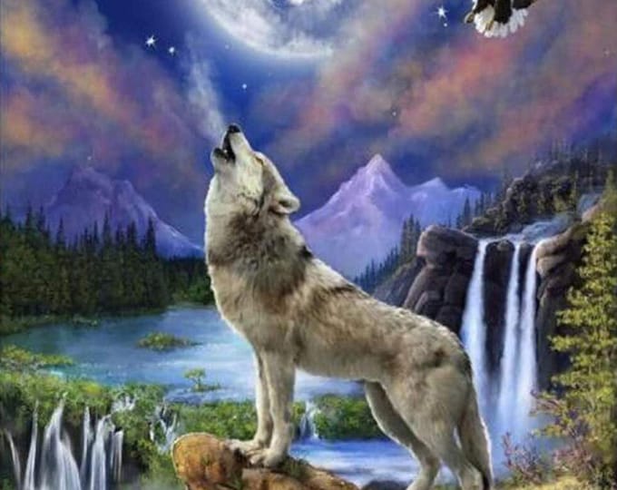 Diamond Painting Kit | Wolf and Eagle