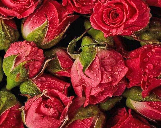 Diamond Painting Kit | Red Roses